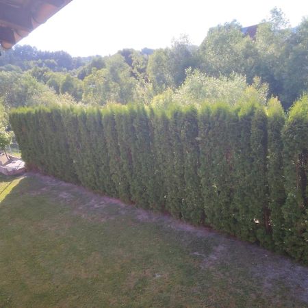 Pensiunea Floro Întorsura Buzăului Eksteriør billede